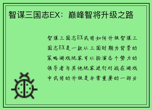 智谋三国志EX：巅峰智将升级之路